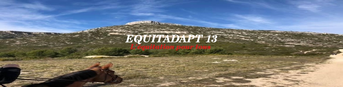EQUITADAPT 13